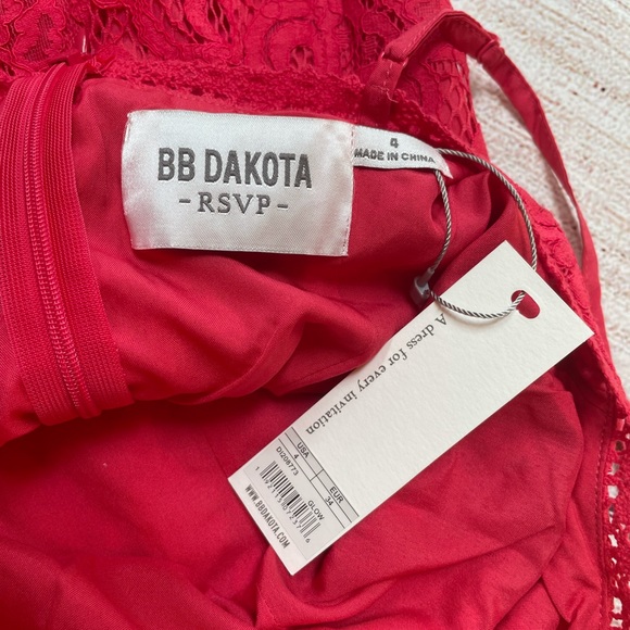 BB Dakota RSVP | Rylee Lace Slip Dress Size 4 - Picture 12 of 14